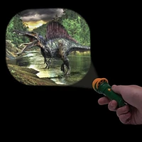 Torch Projector