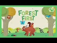 Forest First