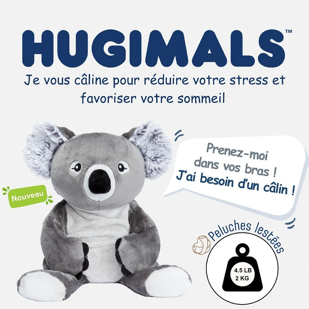 Peluche Lourde 2kg - Quinn le Koala