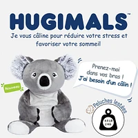 Peluche Lourde 2kg - Quinn le Koala