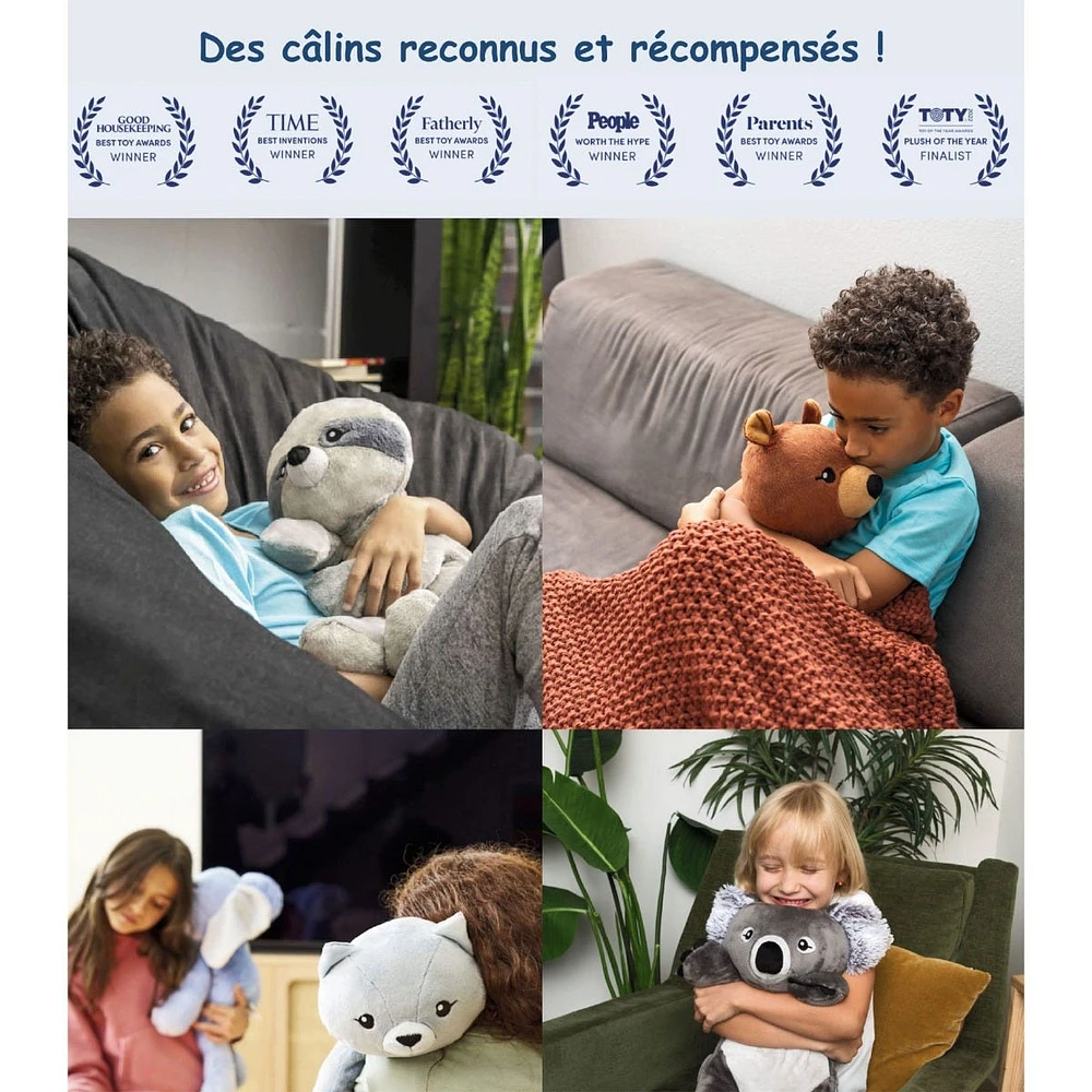 Peluche Lourde 2kg - Quinn le Koala
