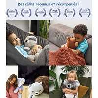 Peluche Lourde 2kg - Quinn le Koala