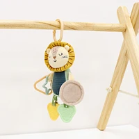 Lion Mirror Activity