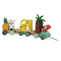 Tropical Train