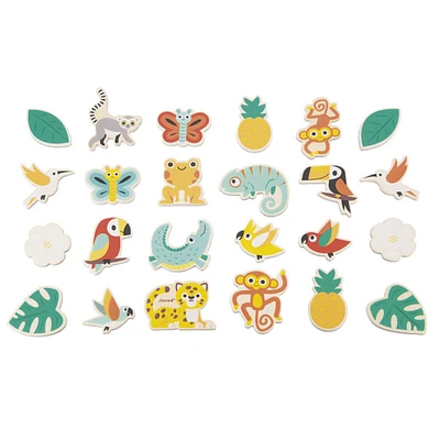 Aimants Tropicaux 24 Pièces