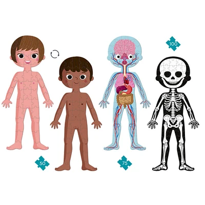 Educational Puzzle Human Body 