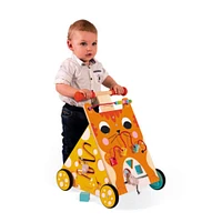 Multi-Activities Cat Baby Walker 