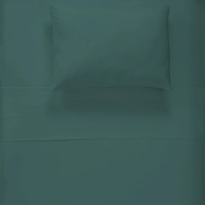Flannel Double Sheet Set
