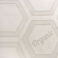Oops- Simmons Mattress Protector Organic Plus