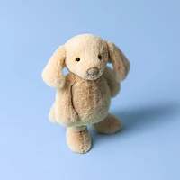 Chien Orlando