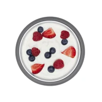 Suction Bowl - Grey