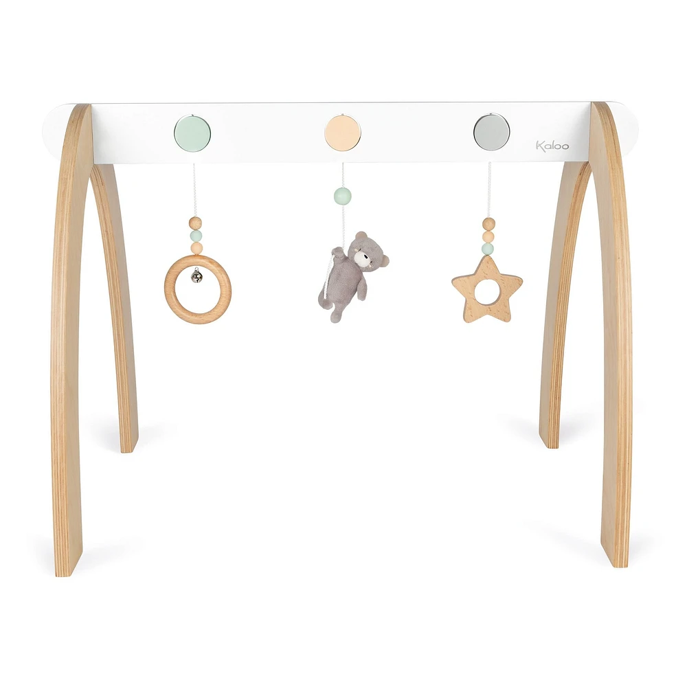 Activity Gym - Bear