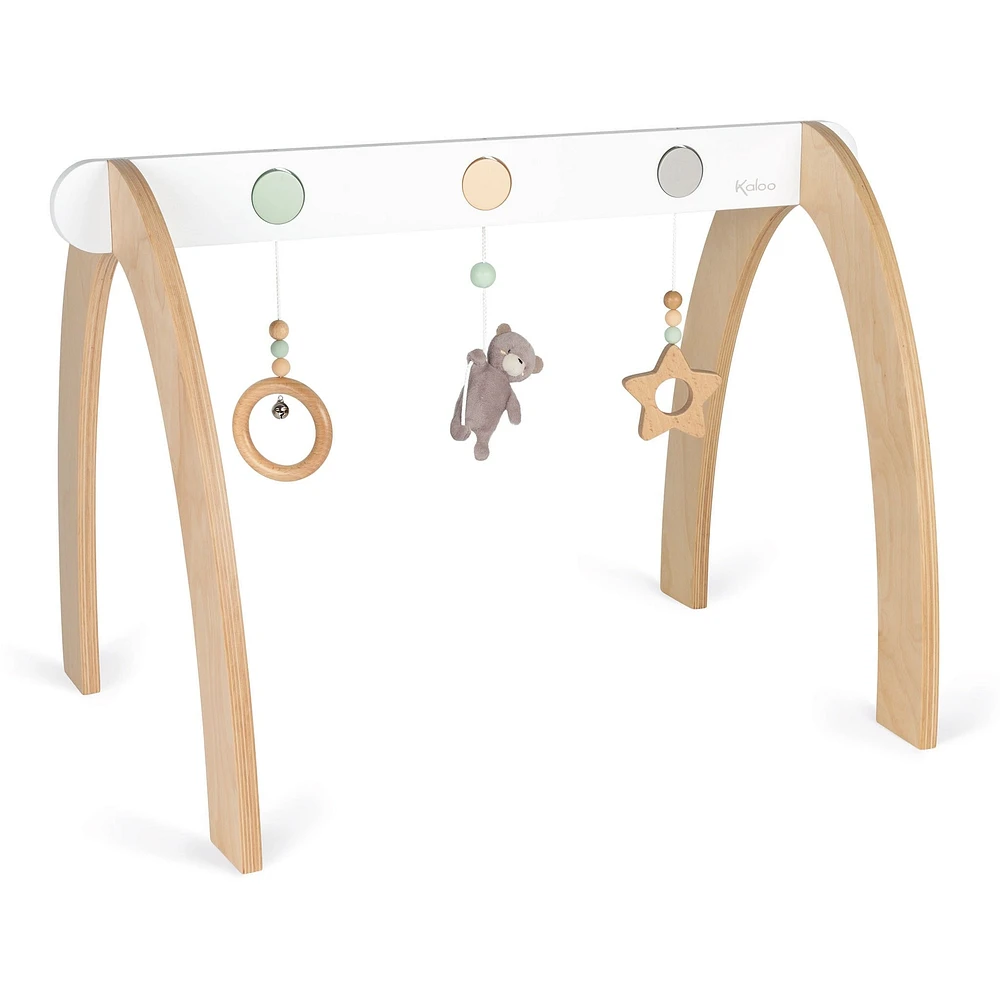 Activity Gym - Bear