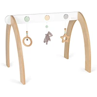 Activity Gym - Bear