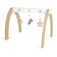 Activity Gym - Bear