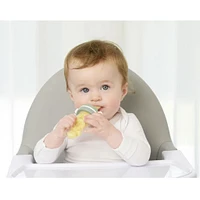 Food Feeder Plus 6m+ - Plum