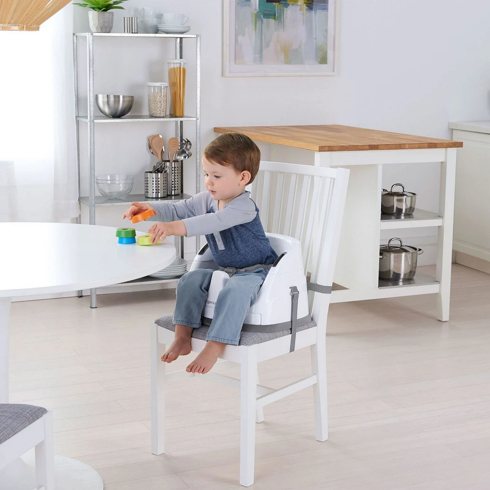 Ingenuity Baby Base 2-in-1™ Seat - Slate