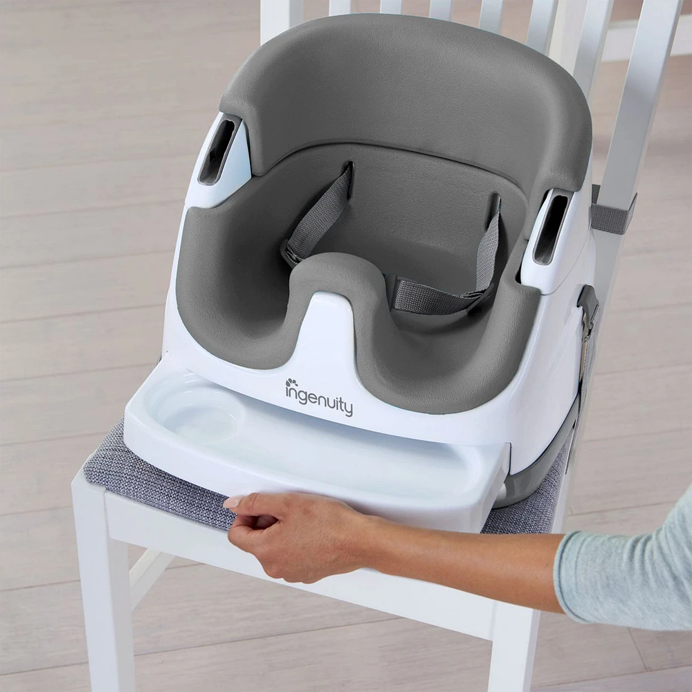 Ingenuity Baby Base 2-in-1™ Seat - Slate