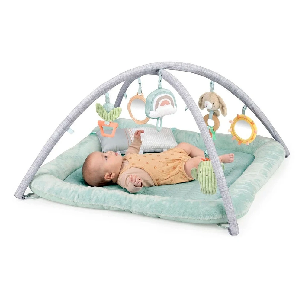 Calm Springs™ Plush Activity Gym - Chic Boutique™