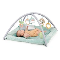 Calm Springs™ Plush Activity Gym - Chic Boutique™