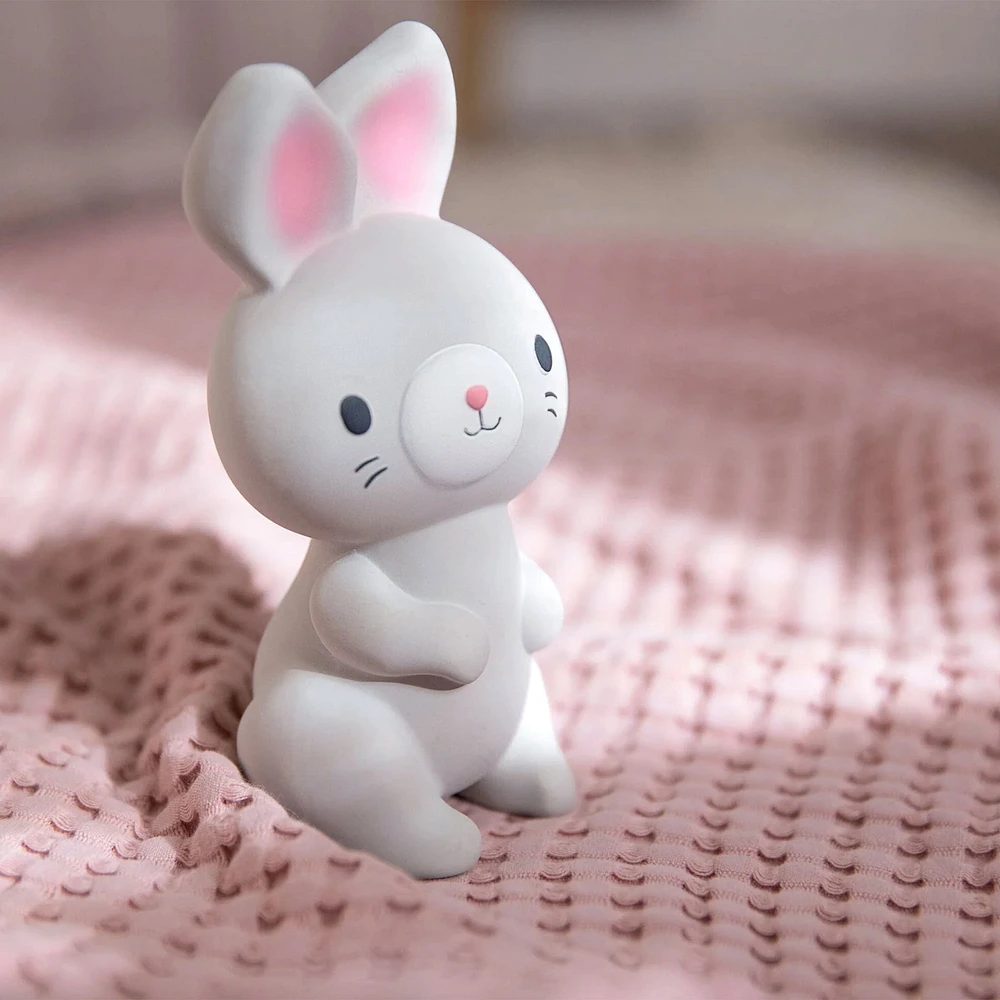 Jouet de Dentition Lapin Sylvi