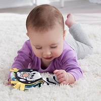 Fisher-Price - Loutre 2-en-1 à bascule pour le temps sur le ventre