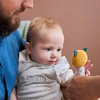 Soft Maraca Stimuli