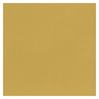 Échelle de croissance Moderne luxe Ocre