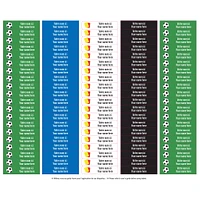 School Name Labels - Soccer