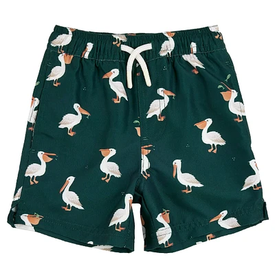 Pelican Swimshorts 2-7