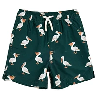 Pelican Swimshorts 2-7