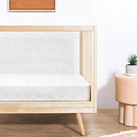 Nifty Clear 3-in-1 Crib -Natural Birch