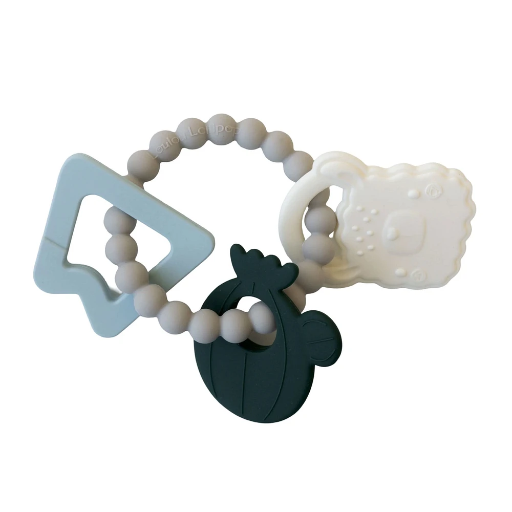 Anneau Dentition
