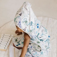 Hooded Towel Set - Dinosaurs