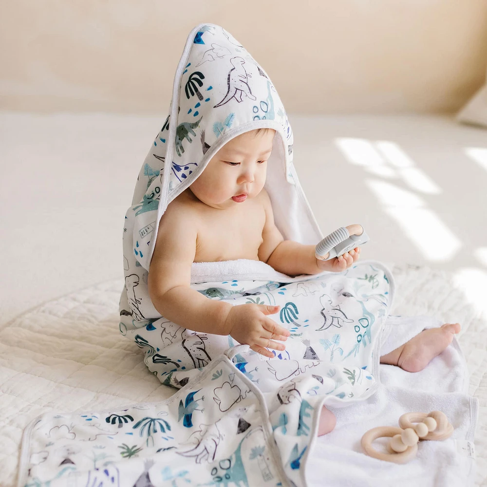 Hooded Towel Set - Dinosaurs