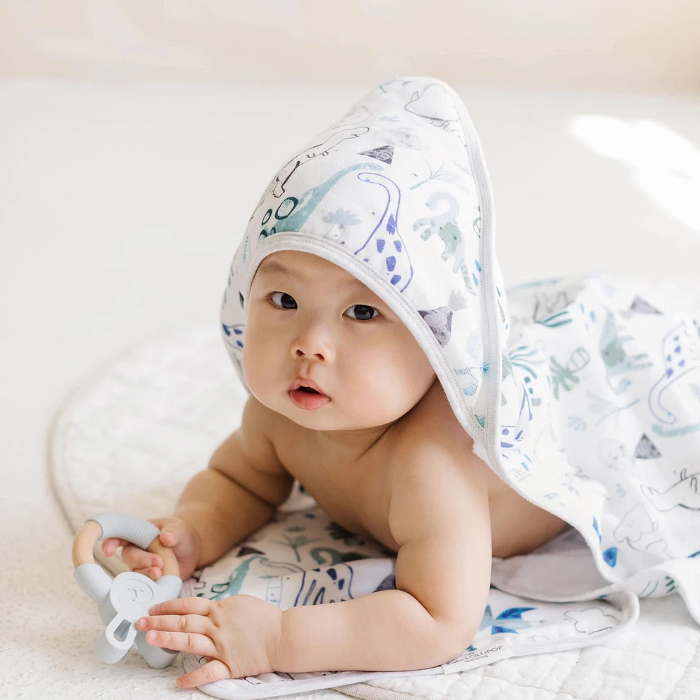 Hooded Towel Set - Dinosaurs