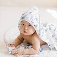 Hooded Towel Set - Dinosaurs