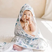 Hooded Towel Set - Dinosaurs