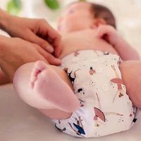 Couche Lavable 7-15lb - Ballet