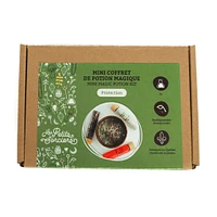 Mini Coffret Potion de Protection