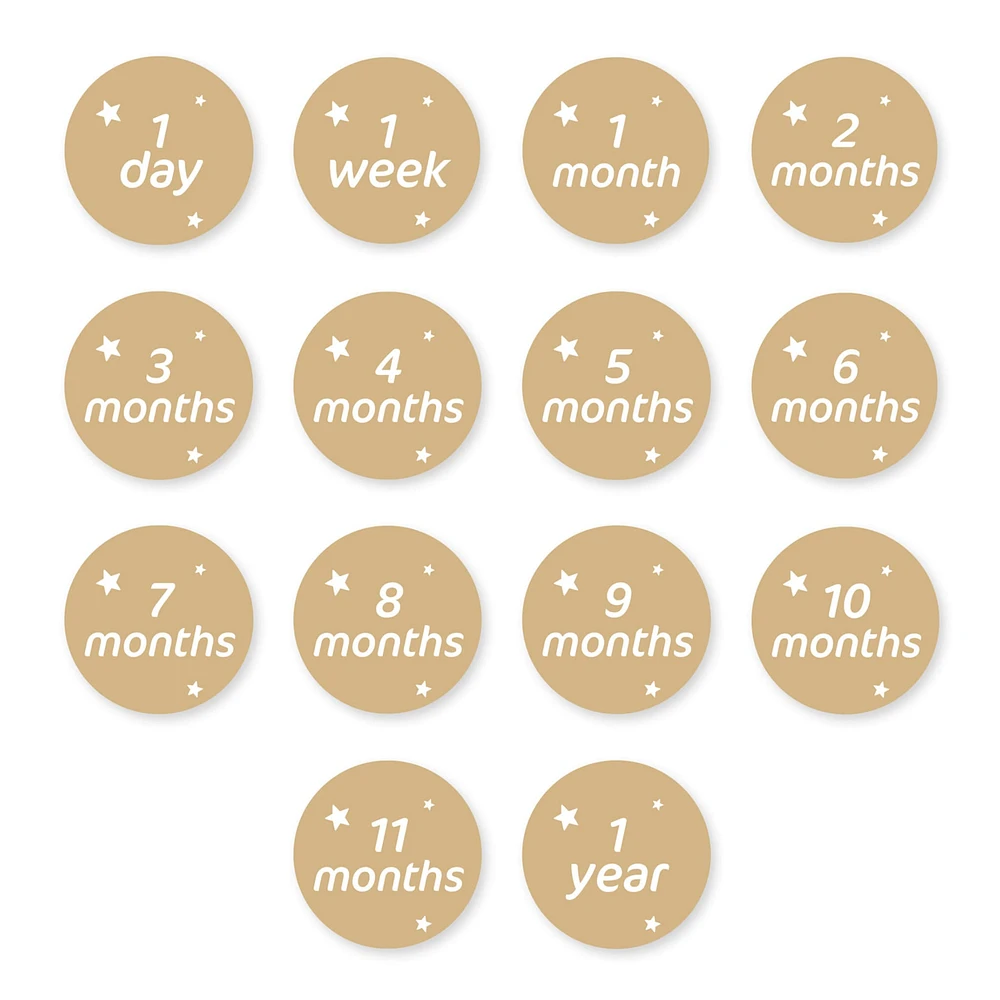 Baby's 1st Year Milestone