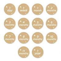 Baby's 1st Year Milestone