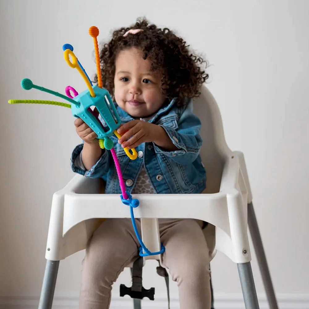 Zippee Activity Toy