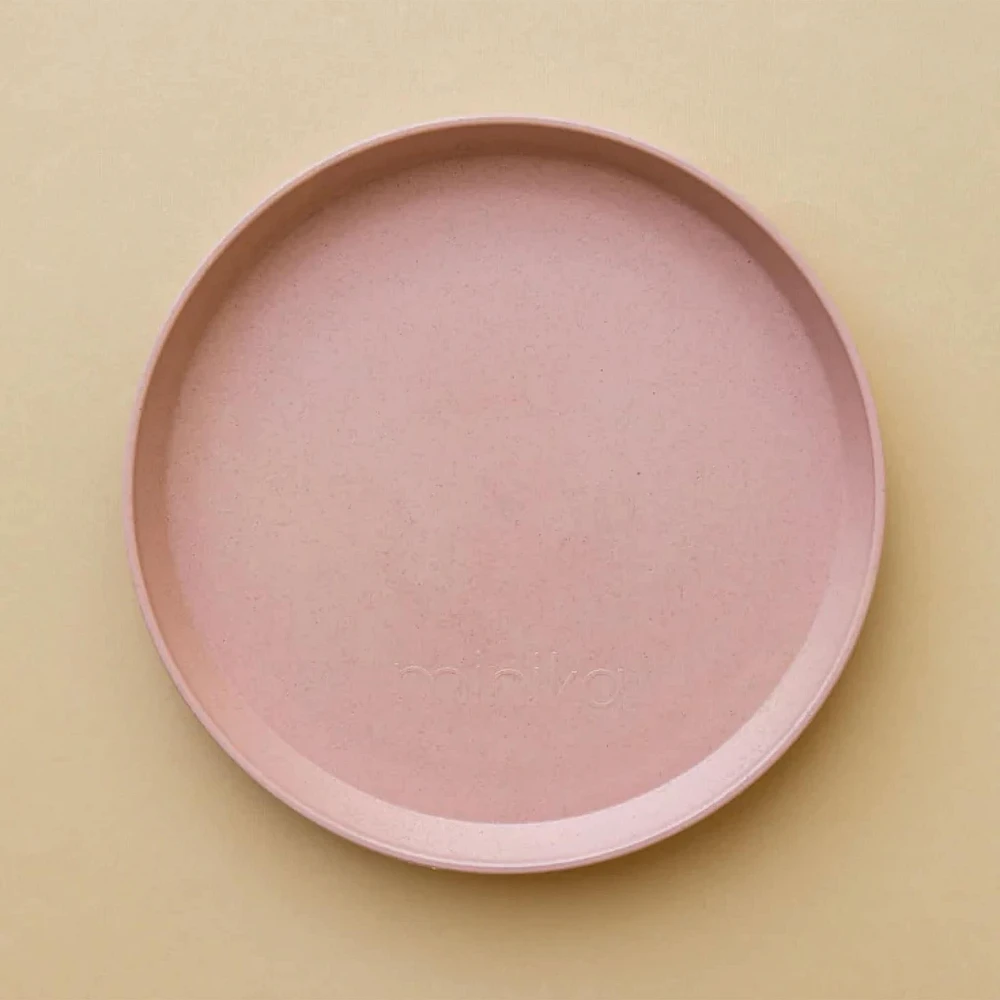 Snack Plate