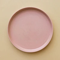 Snack Plate