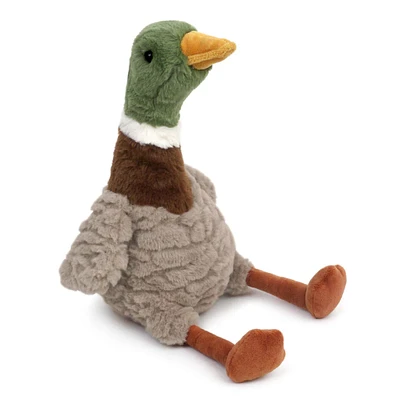 River Mallard Duck
