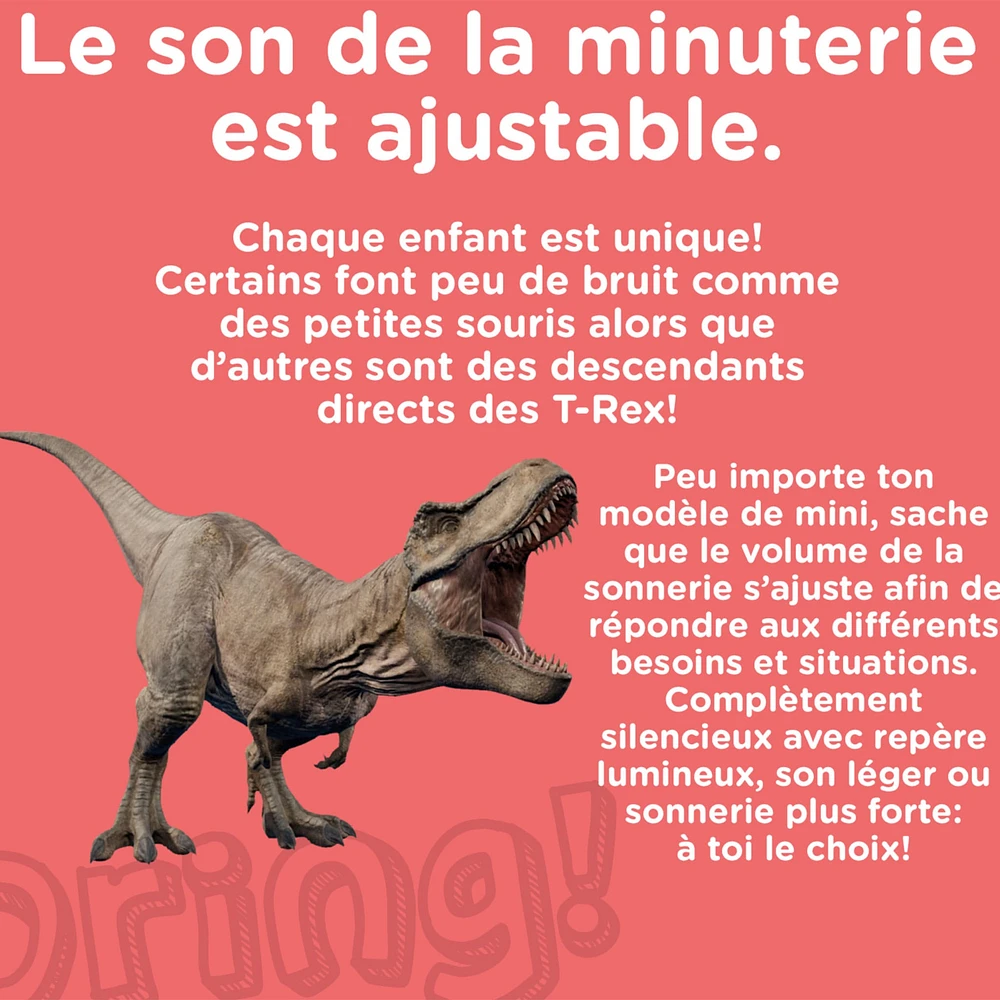 Mini Minuteur Visuel Magnétique