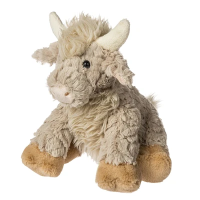 Vache Highland