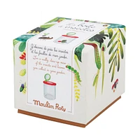 La Boite à Insectes
