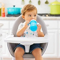 Sippy Cup with Handle 10oz